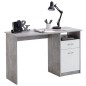 FMD Escritorio con 1 cajón color hormigón y blanco 123x50x76,5 cm FMD Escritorio con 1 cajón color hormigón y blanco 123x50x76,5 cm