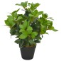 vidaXL Planta artificial árbol de laurel con macetero 40 cm verde vidaXL Planta artificial árbol de laurel con macetero 40 cm verde