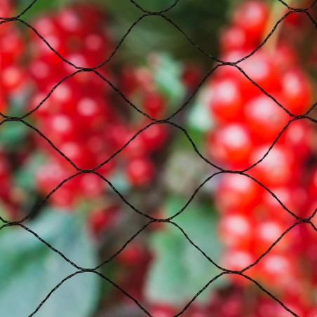 Nature Red protectora de pájaros negra Primo 10x4 m 6030406 