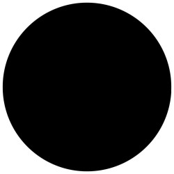 vidaXL Cubierta de piscina PE negra 250 cm