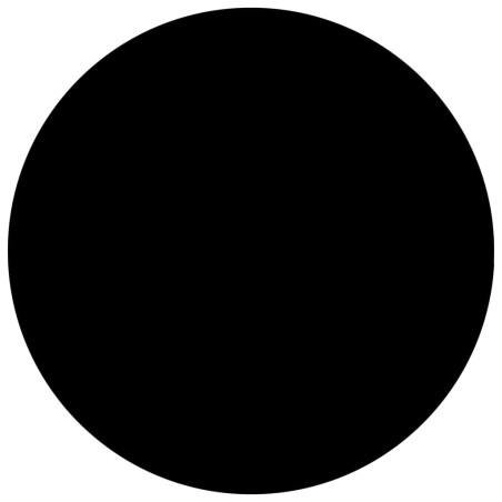 vidaXL Cubierta de piscina PE negra 250 cm