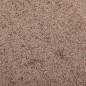 vidaXL Felpudo marrón 40x60 cm vidaXL Felpudo marrón 40x60 cm