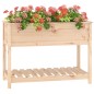 vidaXL Jardinera con estante de madera maciza de pino 111,5x54x81 cm vidaXL Jardinera con estante de madera maciza de pino 111,5x54x81 cm