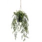 Emerald Boj artificial colgante en maceta 50 cm Emerald Boj artificial colgante en maceta 50 cm