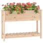 vidaXL Jardinera con estante madera maciza de pino 111,5x34,5x81 cm vidaXL Jardinera con estante madera maciza de pino 111,5x34,5x81 cm