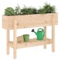 vidaXL Arriate elevado de jardín madera maciza de pino 101x30x69 cm vidaXL Arriate elevado de jardín madera maciza de pino 101x30x69 cm
