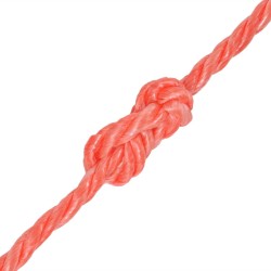 vidaXL Cuerda torcida de polipropileno 10 mm 250 m naranja