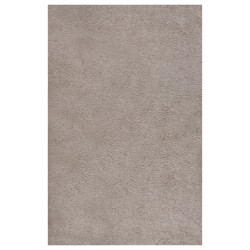 vidaXL Alfombra de pelo largo beige 200x290 cm