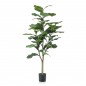 Emerald Ficus lyrata artificial 120 cm Emerald Ficus lyrata artificial 120 cm