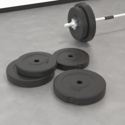 vidaXL Placas de pesas 4 uds cemento 30 kg
