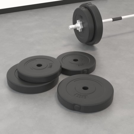 vidaXL Placas de pesas 4 uds cemento 30 kg