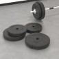 vidaXL Placas de pesas 4 uds cemento 30 kg vidaXL Placas de pesas 4 uds cemento 30 kg