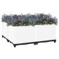 vidaXL Arriate polipropileno 80x80x38 cm vidaXL Arriate polipropileno 80x80x38 cm
