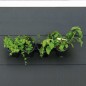 Nature Jardín vertical / Kit para hierbas y flores Nature Jardín vertical / Kit para hierbas y flores
