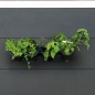Nature Jardín vertical / Kit para hierbas y flores Nature Jardín vertical / Kit para hierbas y flores