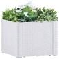 vidaXL Arriate con sistema de riego automático blanco 43x43x33 cm vidaXL Arriate con sistema de riego automático blanco 43x43x33 cm