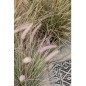 Emerald Planta artificial pennisetum 71 cm verde 418155 Emerald Planta artificial pennisetum 71 cm verde 418155