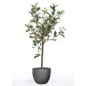 Emerald Miniolivo artificial 65 cm Emerald Miniolivo artificial 65 cm