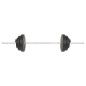 vidaXL Juego de pesas 30 kg vidaXL Juego de pesas 30 kg
