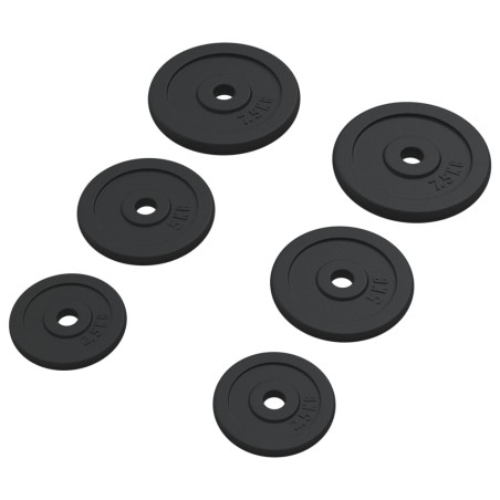 vidaXL Discos de pesas de hierro fundido 6 piezas 30 kg