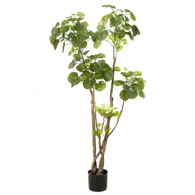 Emerald Árbol Polyscias artificial 135 cm 420292 Emerald Árbol Polyscias artificial 135 cm 420292