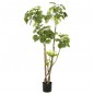 Emerald Árbol Polyscias artificial 135 cm 420292 Emerald Árbol Polyscias artificial 135 cm 420292