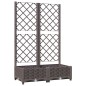 vidaXL Jardinera con enrejado PP marrón 80x40x121,5 cm vidaXL Jardinera con enrejado PP marrón 80x40x121,5 cm