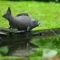 Ubbink Fuente de jardín con chorro y en forma de pez tumbado Ubbink Fuente de jardín con chorro y en forma de pez tumbado
