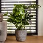 Capi Macetero Nature Rib gris antracita 43x41 cm KOFZ933 Capi Macetero Nature Rib gris antracita 43x41 cm KOFZ933