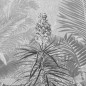 Komar Mural fotográfico Amazonia negro y blanco 400x250 cm Komar Mural fotográfico Amazonia negro y blanco 400x250 cm
