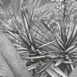 Komar Mural fotográfico Amazonia negro y blanco 400x250 cm Komar Mural fotográfico Amazonia negro y blanco 400x250 cm