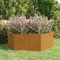 vidaXL Jardinera de acero corten oxidado 138x120x45 cm vidaXL Jardinera de acero corten oxidado 138x120x45 cm