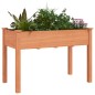 vidaXL Jardinera con forro madera maciza de abeto marrón 118x59x76 cm vidaXL Jardinera con forro madera maciza de abeto marrón 118x59x76 cm