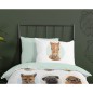 Good Morning Funda edredón infantil YOUNG A 140x200/220cm multicolor Good Morning Funda edredón infantil YOUNG A 140x200/220cm multicolor