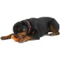 West Paw Juguete para perros con Zogoflex Tux naranja S West Paw Juguete para perros con Zogoflex Tux naranja S
