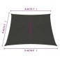vidaXL Toldo de vela HDPE antracita 160 g/m² 4/5x4 m vidaXL Toldo de vela HDPE antracita 160 g/m² 4/5x4 m