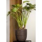 Capi Macetero Nature Rib marrón oscuro 43x41 cm Capi Macetero Nature Rib marrón oscuro 43x41 cm