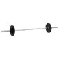 vidaXL Juego de barra con discos 30 kg hierro fundido vidaXL Juego de barra con discos 30 kg hierro fundido