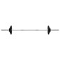 vidaXL Juego de barra con discos 30 kg hierro fundido vidaXL Juego de barra con discos 30 kg hierro fundido