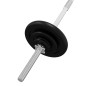 vidaXL Juego de barra con discos 30 kg hierro fundido vidaXL Juego de barra con discos 30 kg hierro fundido