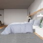 vidaXL Juego de funda nórdica microfibra ligera gris 260x220 cm vidaXL Juego de funda nórdica microfibra ligera gris 260x220 cm