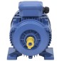 vidaXL Motor eléctrico trifásico aluminio 3kW/4HP 2 polos 2840 RPM vidaXL Motor eléctrico trifásico aluminio 3kW/4HP 2 polos 2840 RPM