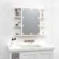 vidaXL Mueble con espejo y luces LED blanco brillante 70x16,5x60 cm vidaXL Mueble con espejo y luces LED blanco brillante 70x16,5x60 cm