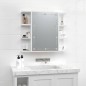 vidaXL Mueble con espejo y luces LED blanco brillante 70x16,5x60 cm vidaXL Mueble con espejo y luces LED blanco brillante 70x16,5x60 cm