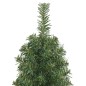 vidaXL Árbol de Navidad artificial delgado y soporte PVC verde 150 cm vidaXL Árbol de Navidad artificial delgado y soporte PVC verde 150 cm