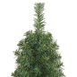 vidaXL Árbol de Navidad artificial delgado y soporte PVC verde 120 cm vidaXL Árbol de Navidad artificial delgado y soporte PVC verde 120 cm