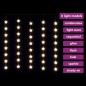 vidaXL Cortina de luces estrellas 200 LEDs blanco cálido 8 funciones vidaXL Cortina de luces estrellas 200 LEDs blanco cálido 8 funciones