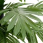 vidaXL Palmera artificial con 72 LED blanco cálido 120 cm vidaXL Palmera artificial con 72 LED blanco cálido 120 cm