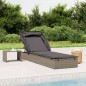vidaXL Tumbona con toldo plegable ratán sintético gris 213x63x97cm vidaXL Tumbona con toldo plegable ratán sintético gris 213x63x97cm