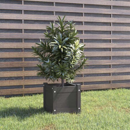 vidaXL Jardinera de madera maciza de pino gris 31x31x31 cm 